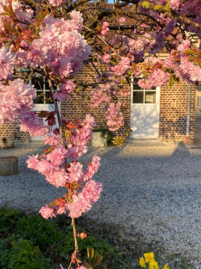 Вилла Le Domaine Des Saules Richebourg  Экстерьер фото